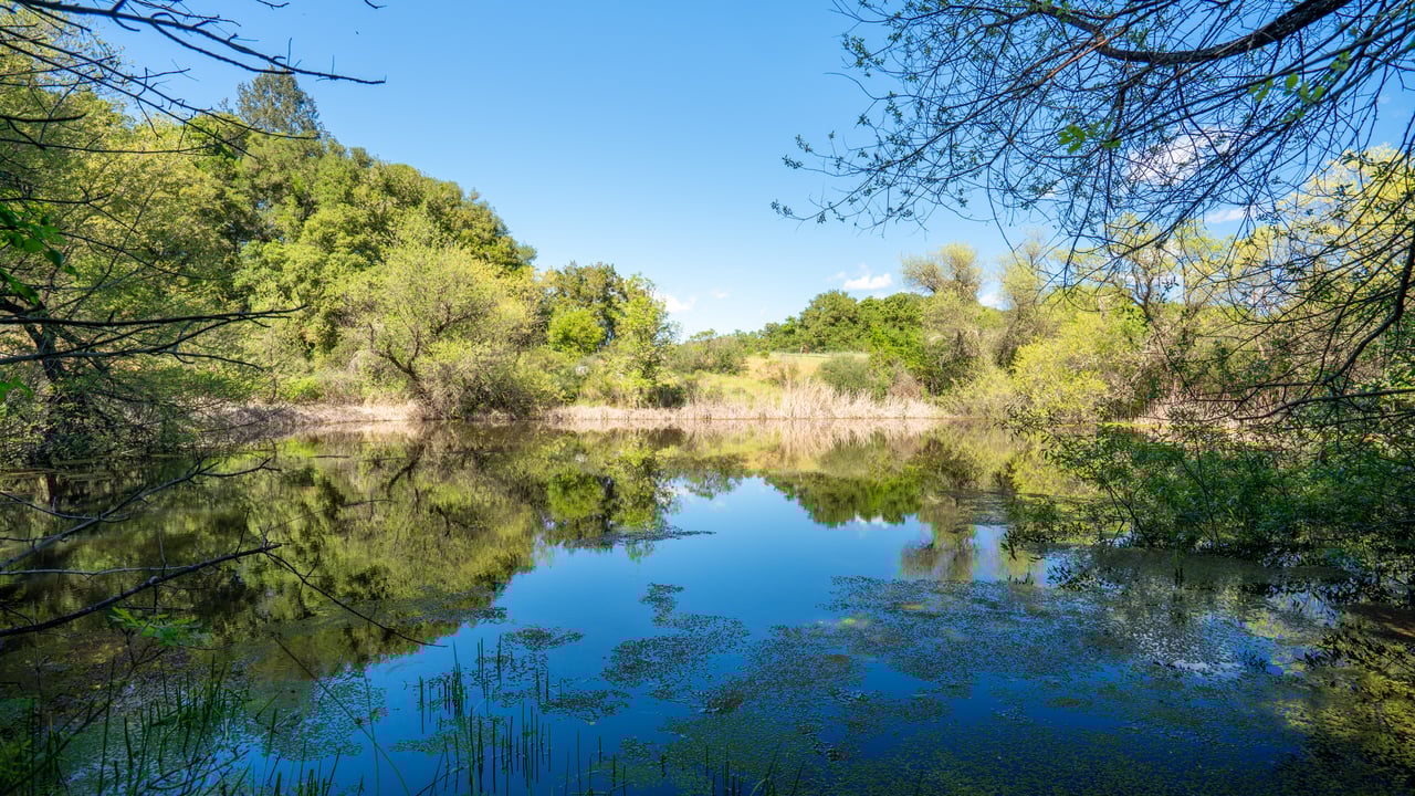 Canoeing and Fish Pond