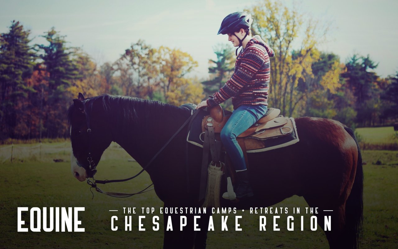 Top Equestrian Retreats And Camps In The Chesapeake Region