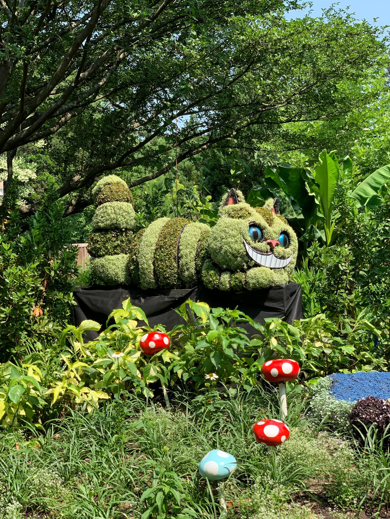 Atlanta Botanical Garden, A Lush Escape In The Heart Of Midtown