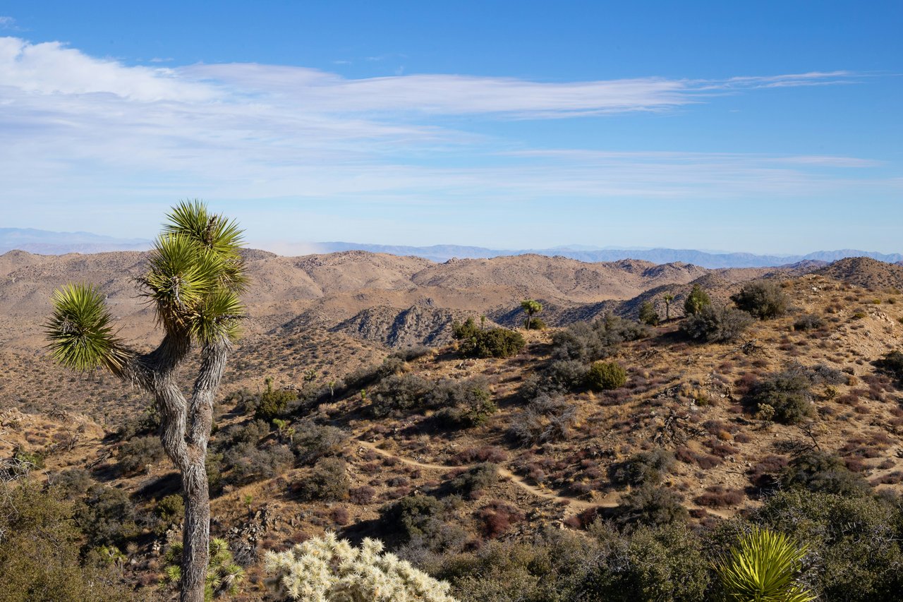 Yucca Valley