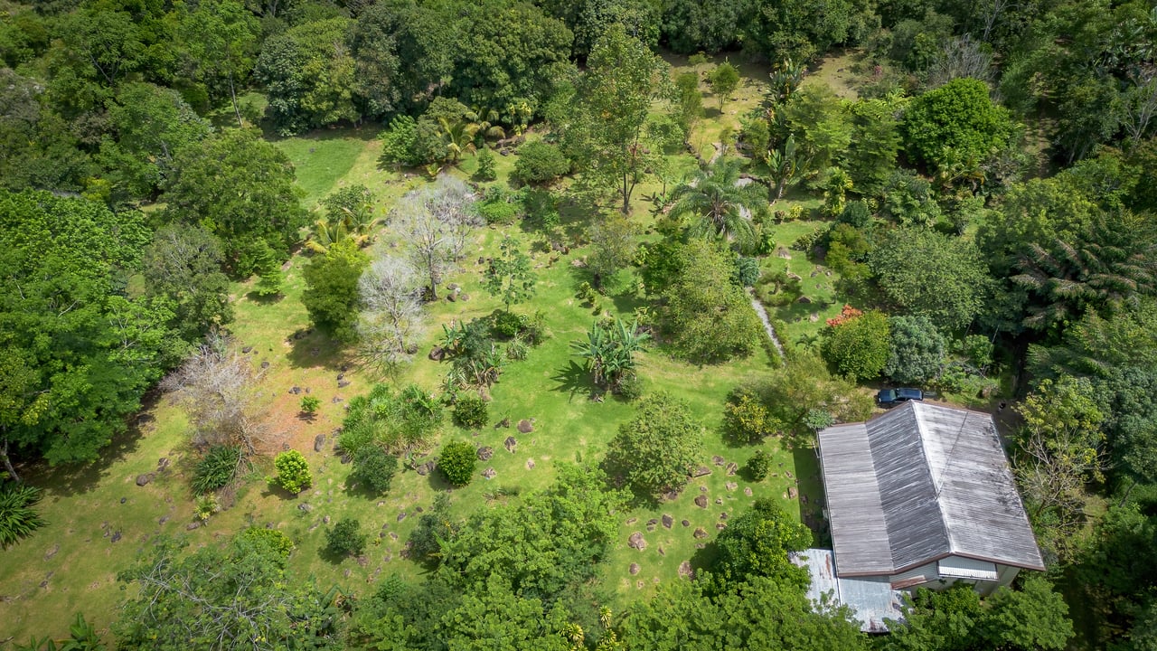 Modern 4BR Homestead with Creek & Food Forest | In-Demand Opportunity