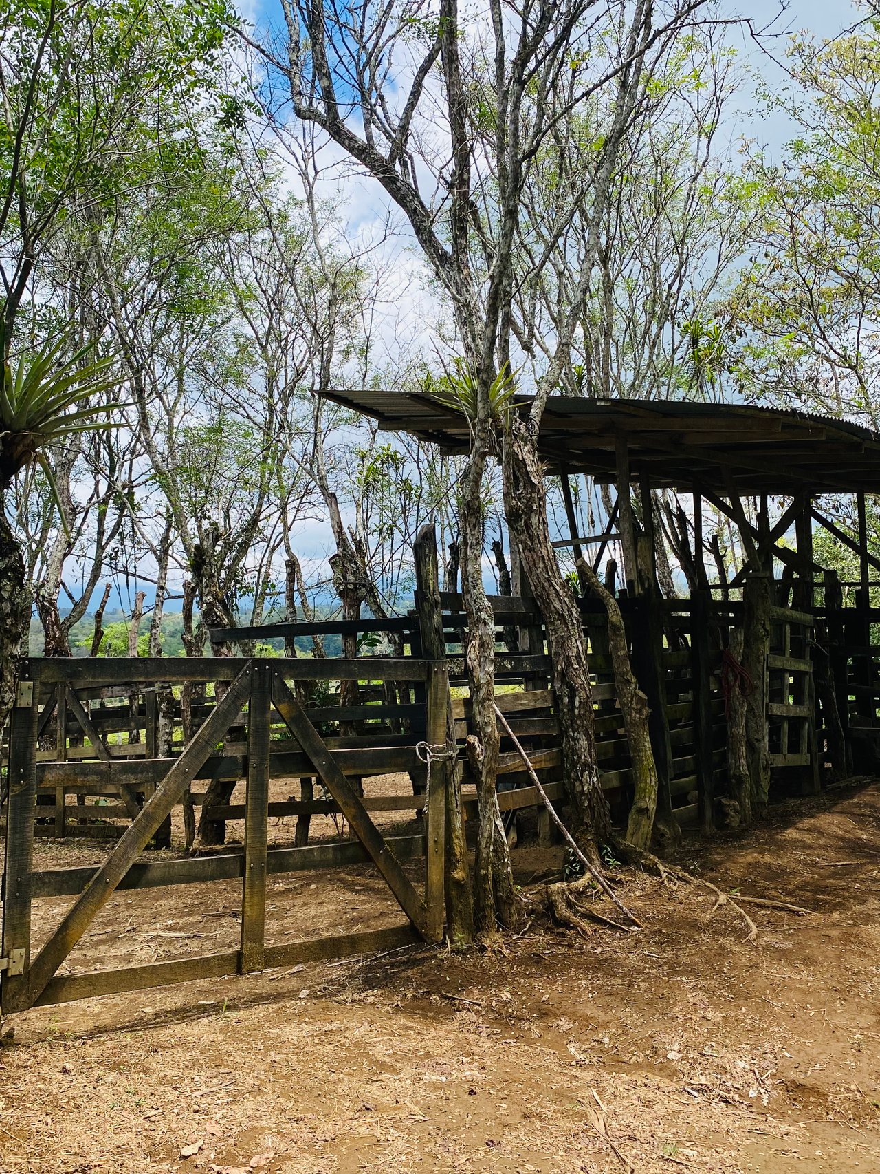 54 Acre Ranch in San Vito, Coto Brus