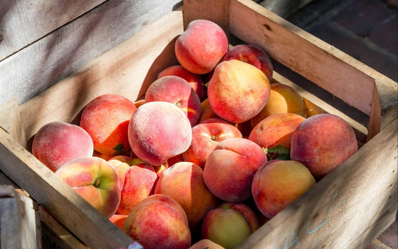 What to Expect Every Wednesday at the Big Sky Farmer's Market