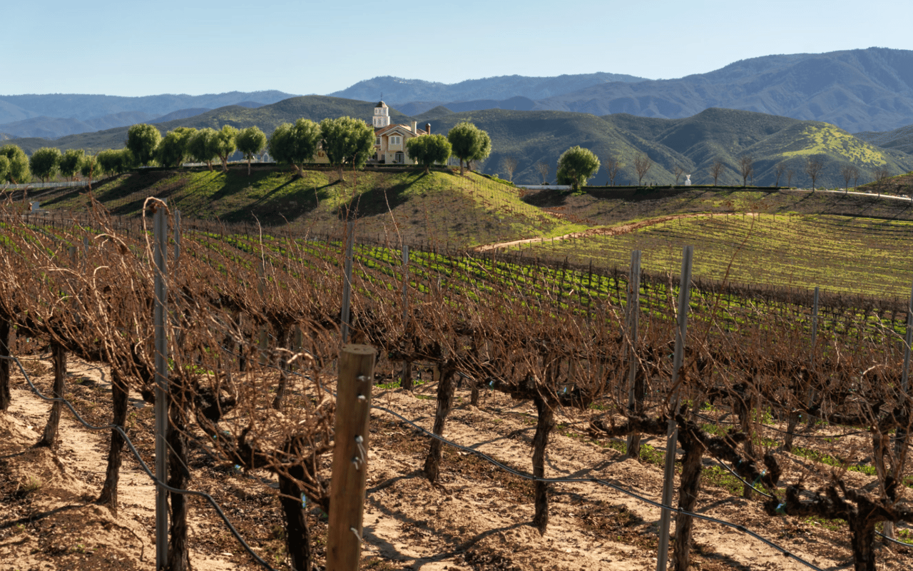 Exploring Temecula Wine Country: The Ultimate Guide to Vineyards, Tastings, and Tours