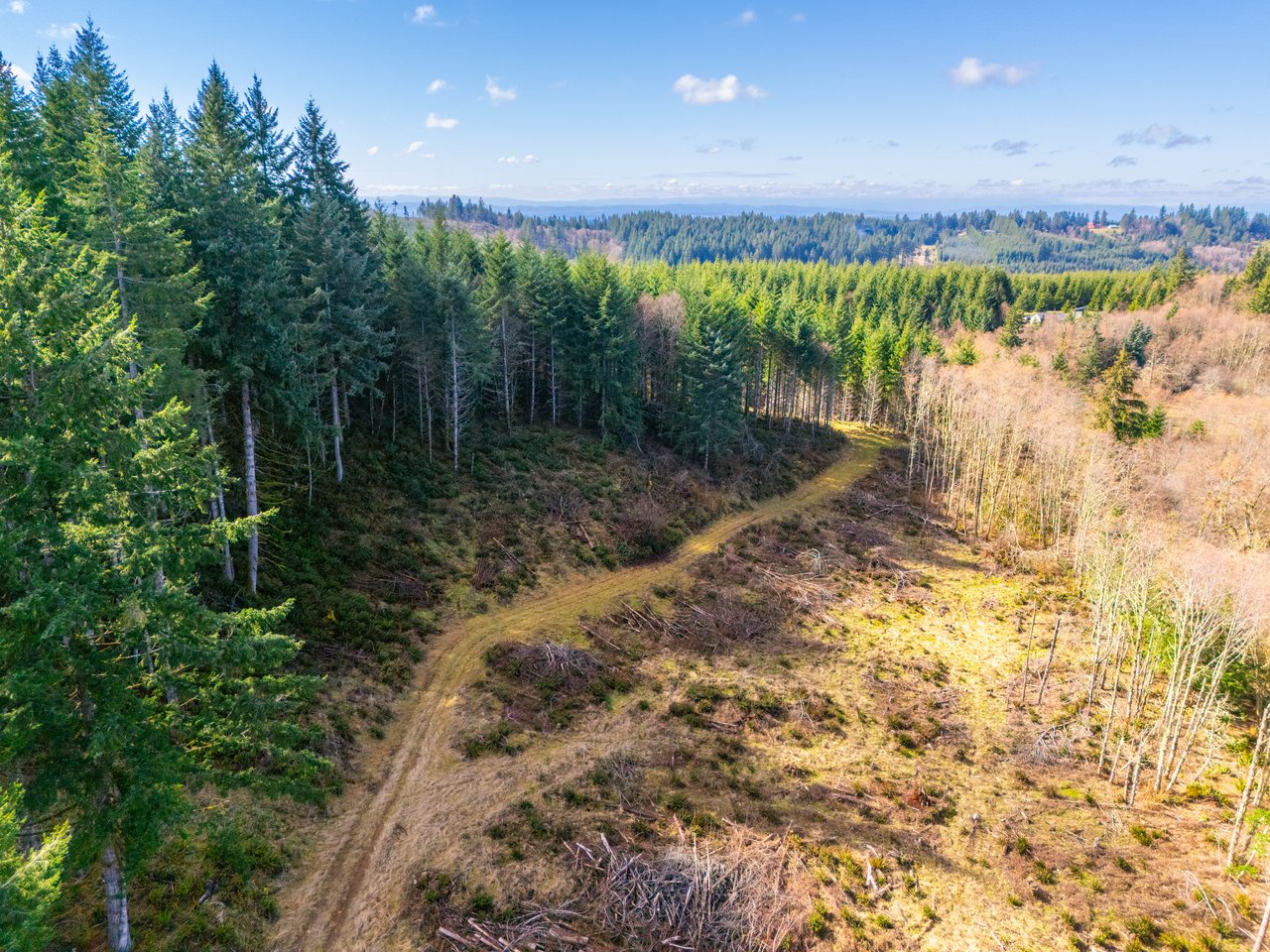 Marion Woods - Auction