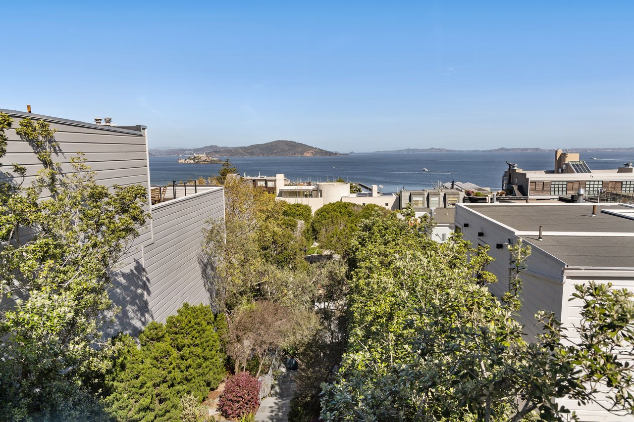 Reimagined Telegraph Hill Edwardian