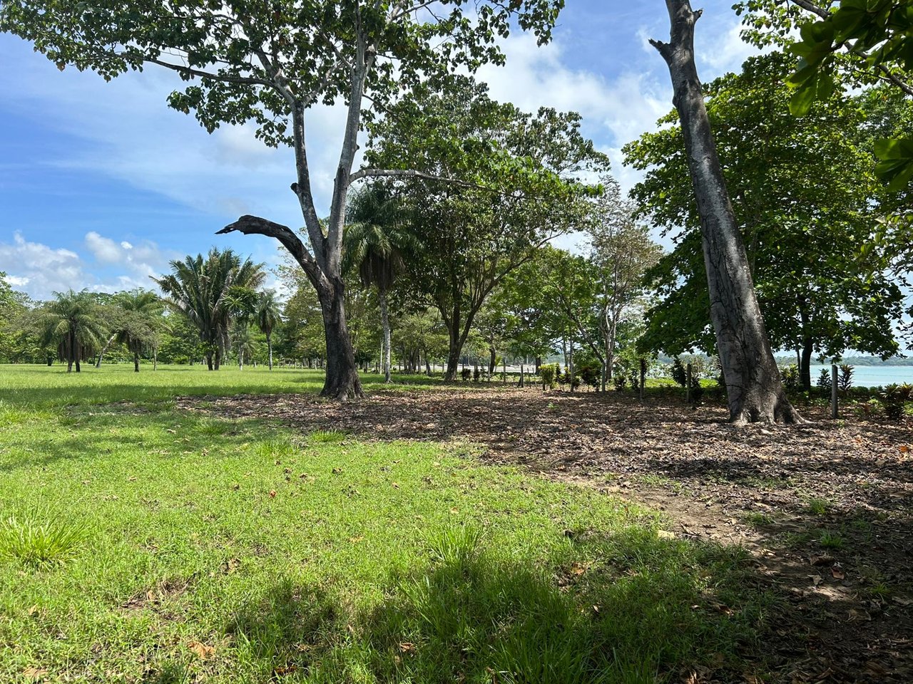 Unveil Your Dream Beachfront Sanctuary in Cabo Matapalo.