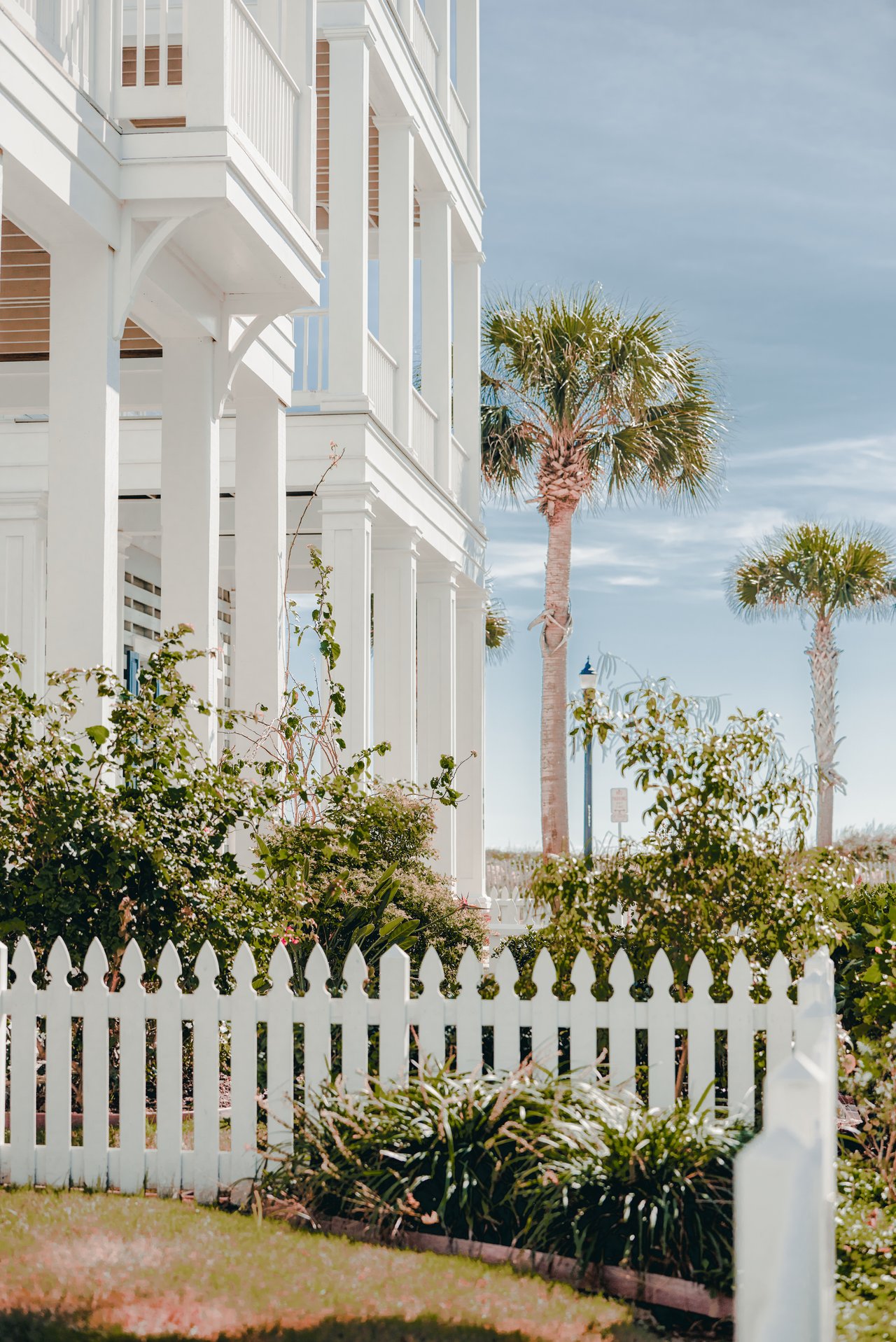 Home Search