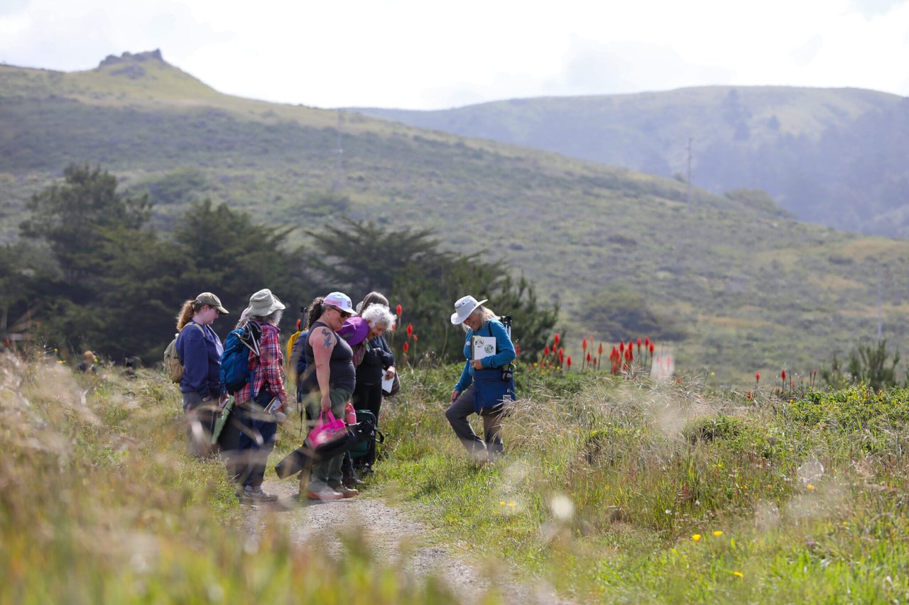 7 Nature Journaling Tips From Sonoma County Naturalist Sarah Reid