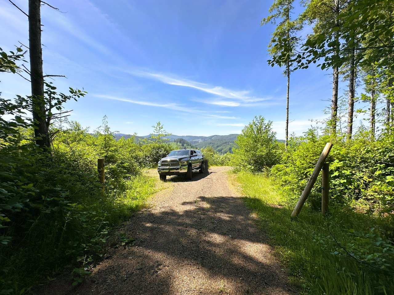 Alsea Estuary Forestland
