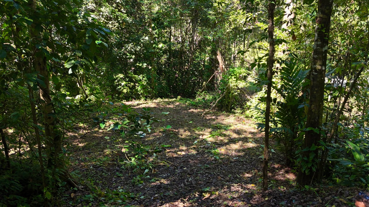 1.4-acre gated lot in Uvita.