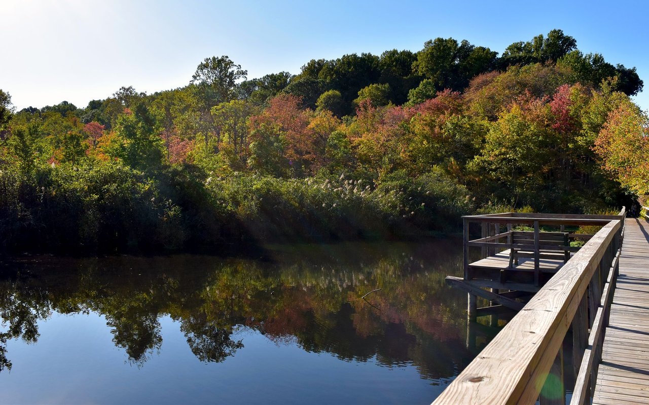 Locust Valley