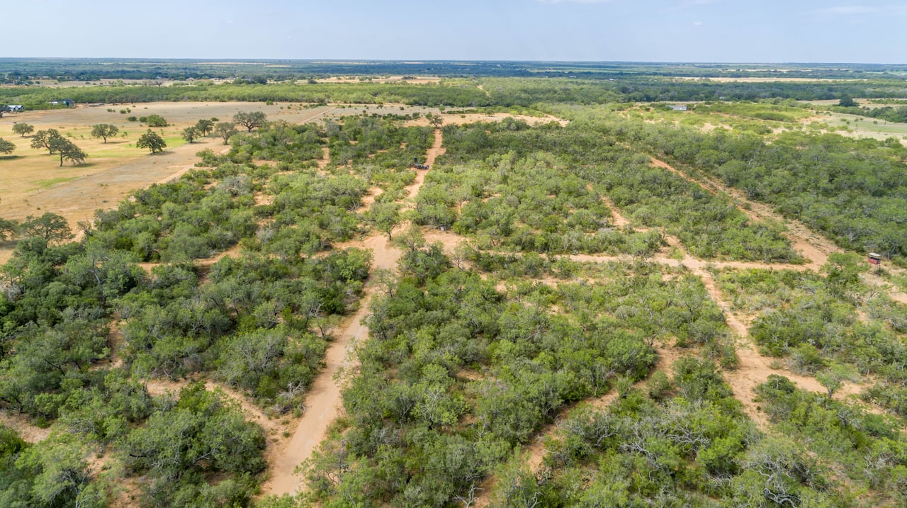 Oaks, Wildlife, & the Quiet of the Countryside | 26.99± Acres | Poteet, TX