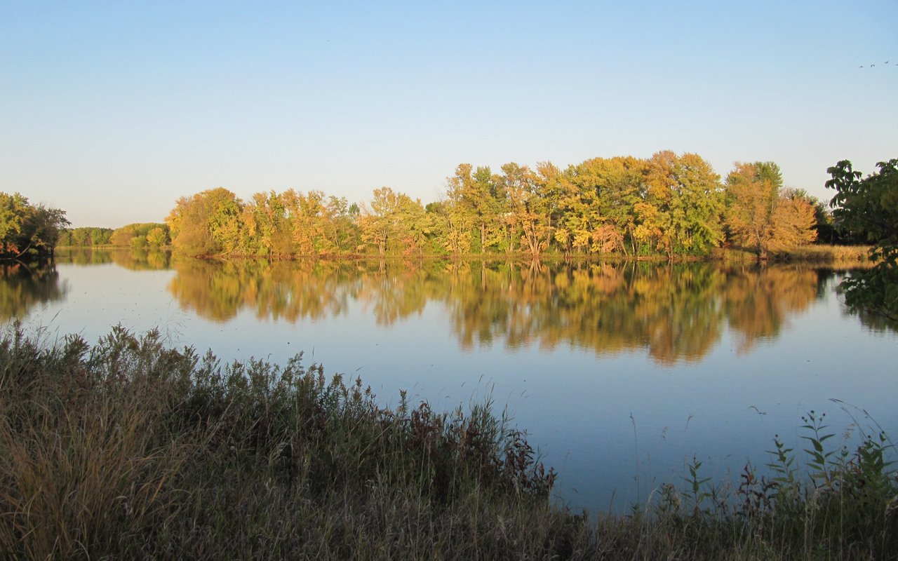 North Raleigh & Falls Lake