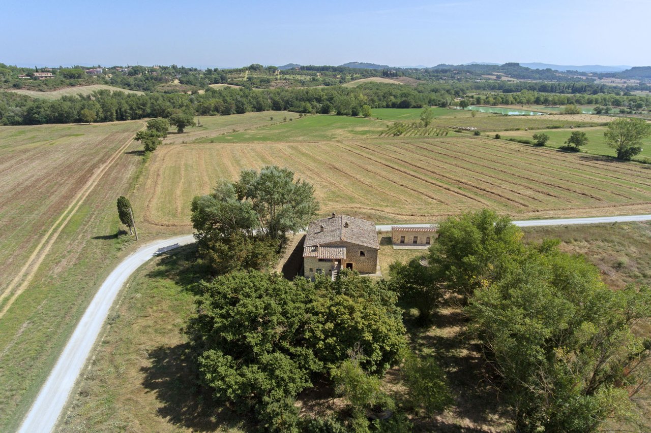 CASALE SANDRA
