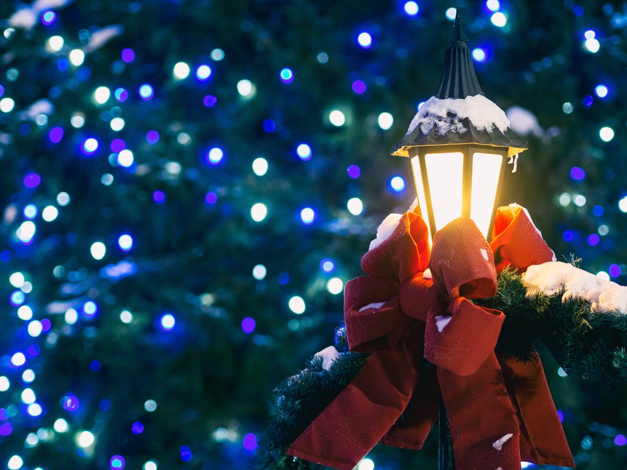 The elephant in the room and holiday cheer!