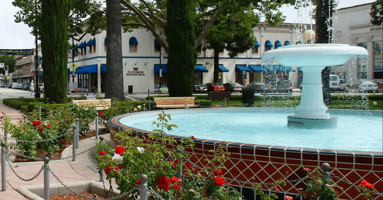 The Old Towne Orange is Vibing!