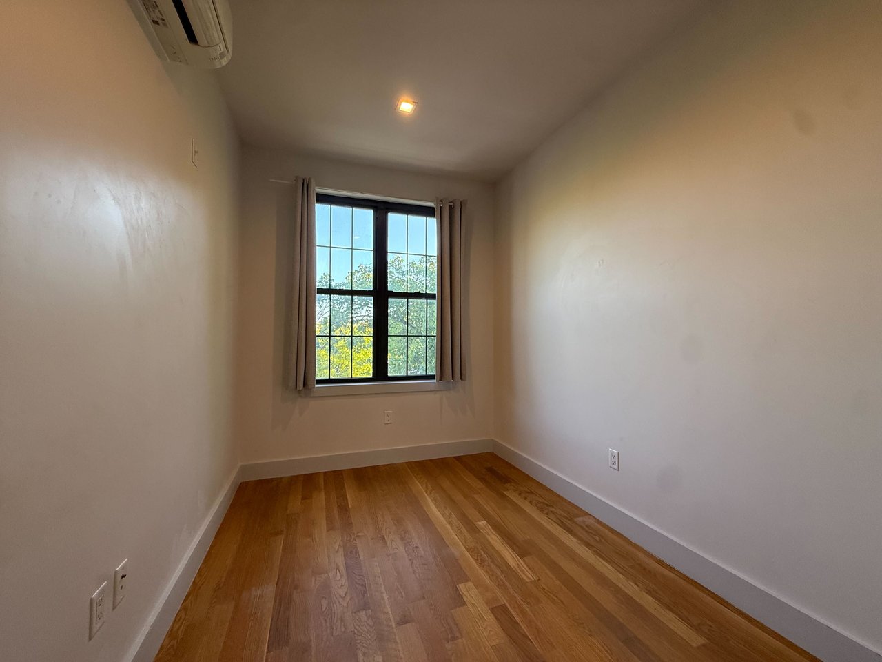 241 Scholes St 2L