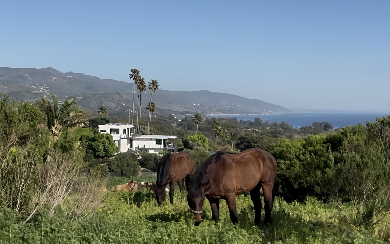 Equestrian Properties in Malibu: What Buyers Should Expect