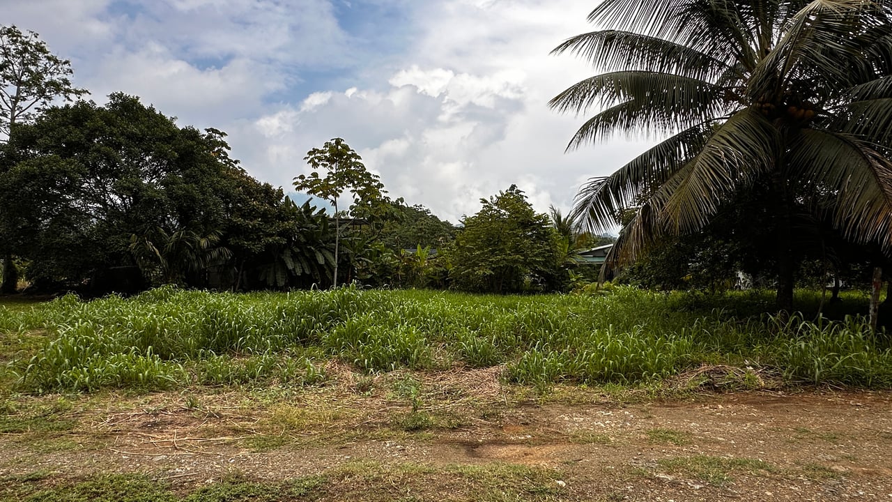 Beach Area Lot in Quiet Corner on Uvita Bahia