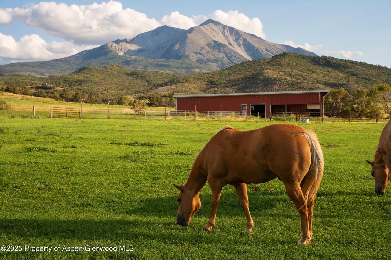 1644 Prince Creek Road