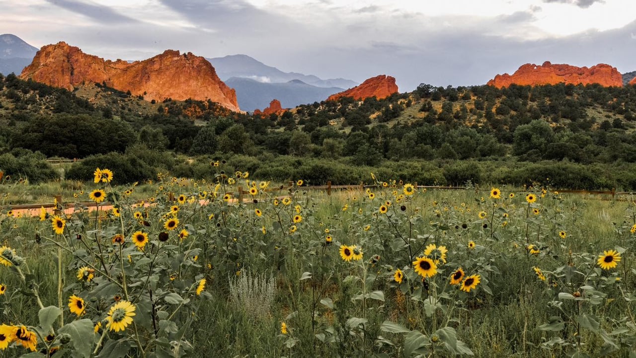 Garden of the Gods: Where Colorado Springs Comes Alive