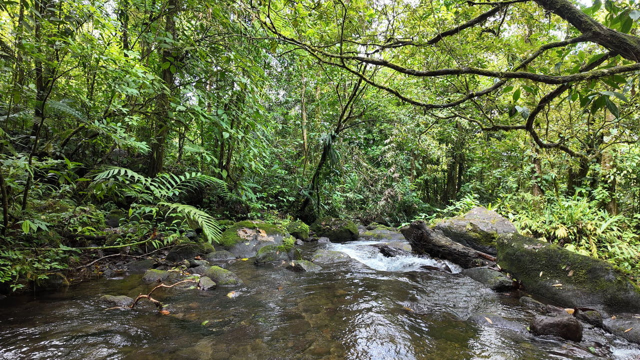 10.5 Hectares Rio Celeste - Nature Lover's Dream - Bijagua 