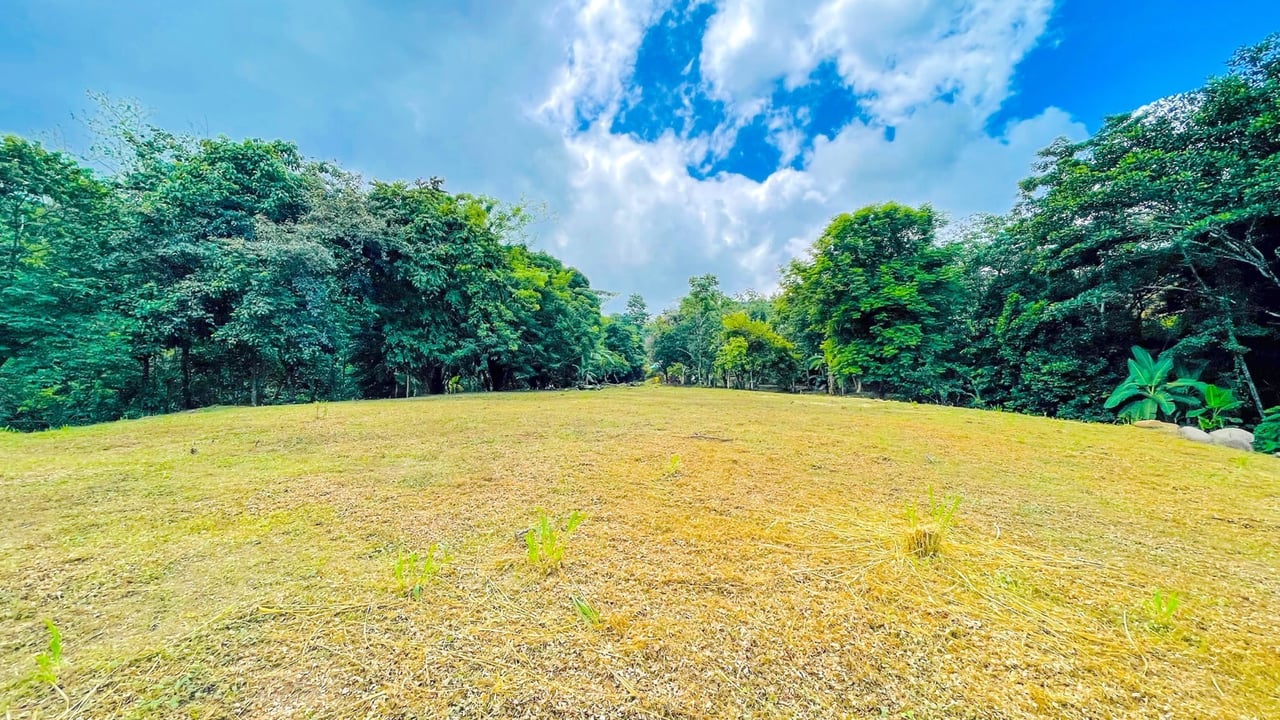 COSTA RICA LAND FOR SALE | LARGE FLAT PRIVATE PROPERTY WITH MOUNTAIN VIEWS, RIVER & FRUIT TREES