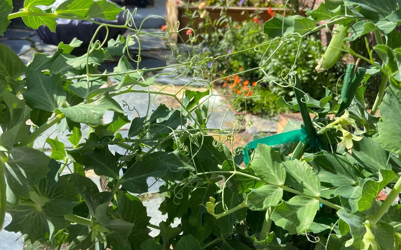 Reaching Out for Each Other