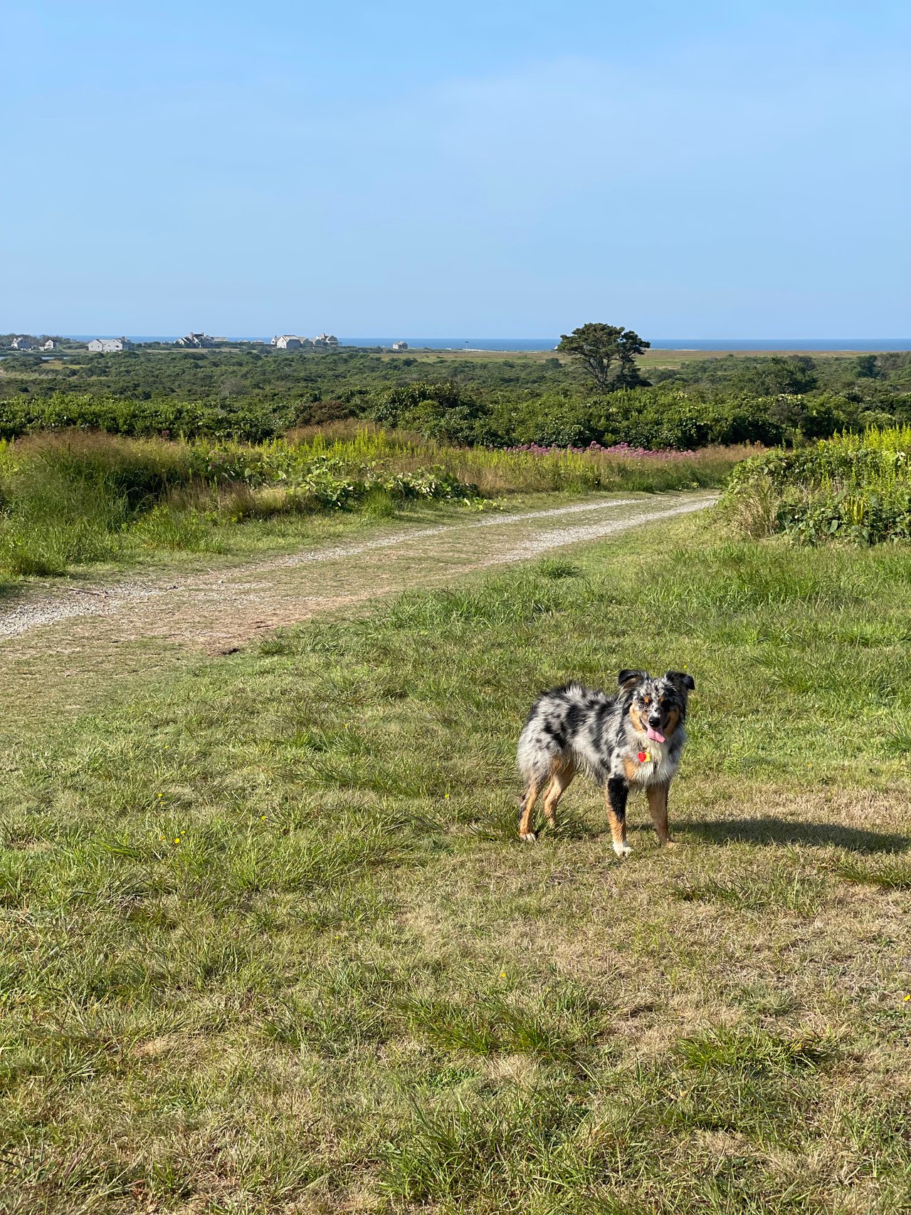 Sanford Farm - A West-End Guide to a Popular Walking Trail