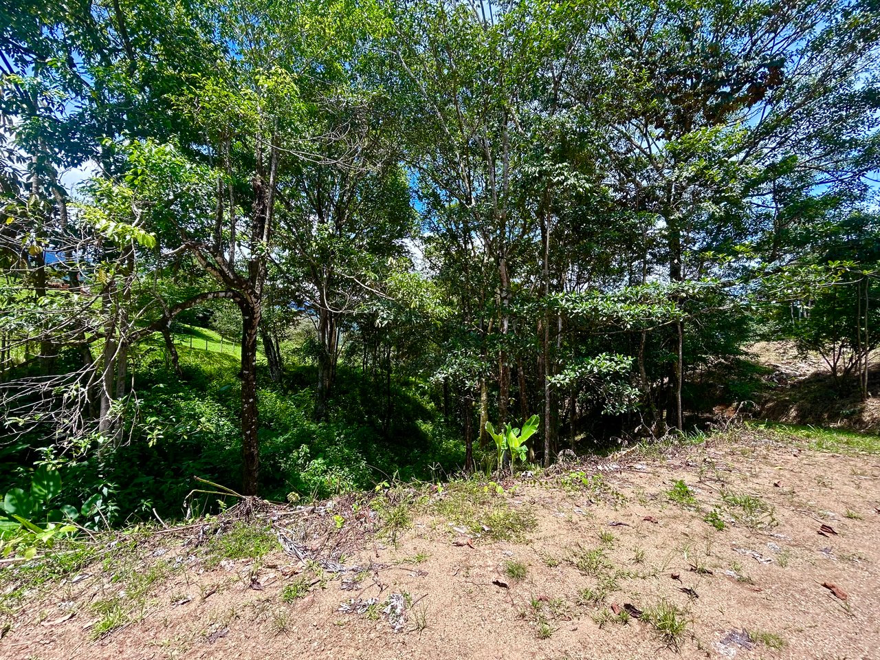 Build-Ready Lot in Ojochal’s Calle Cacique | Easy Access & Stunning Mountain Views