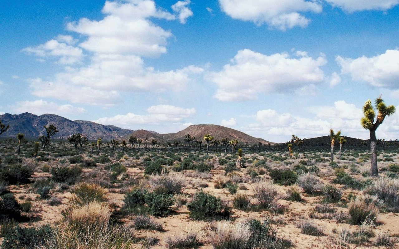 Desert Mountain