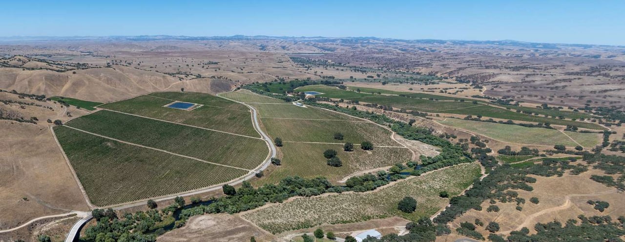 Joseph Vineyard | 76987 Nacimiento Lake Drive