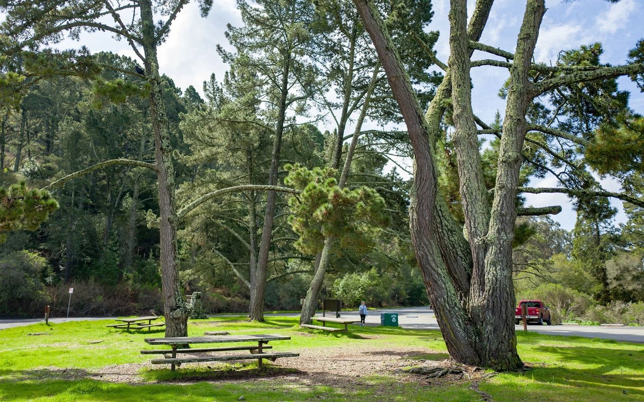 Orinda