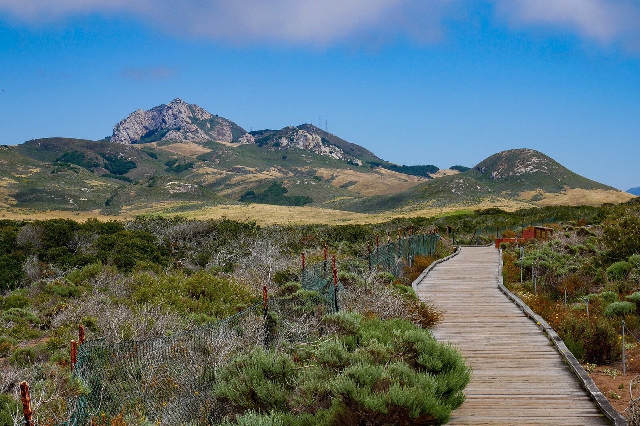 Behind the Listing: How BH Realty Markets a Distinctive Los Osos Home
