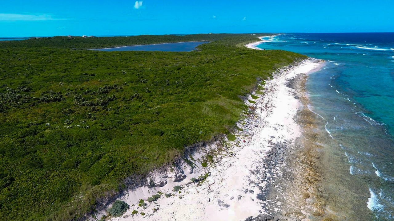 Salt Pond Long Island
