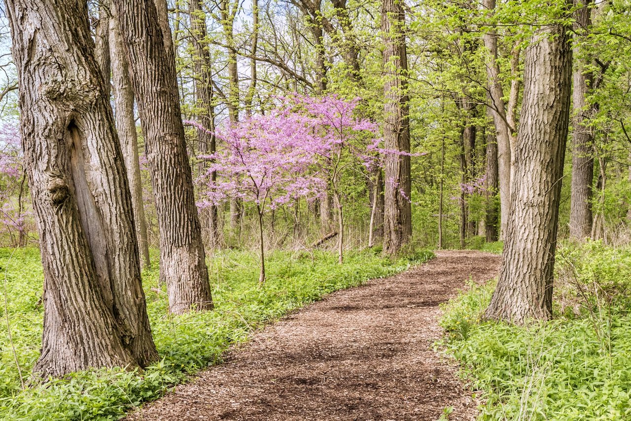 The Ultimate Guide to Weekend Fun Near Naperville, IL
