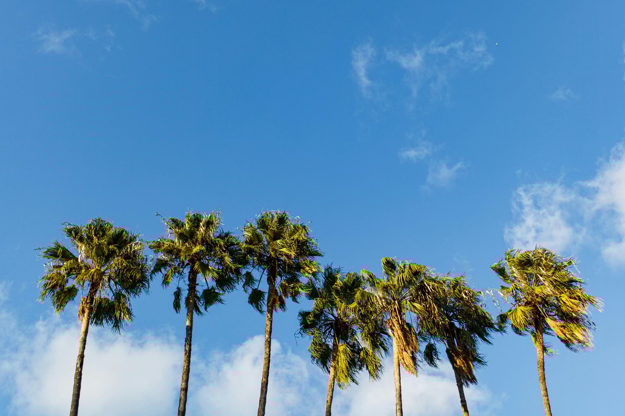Thousand Palms