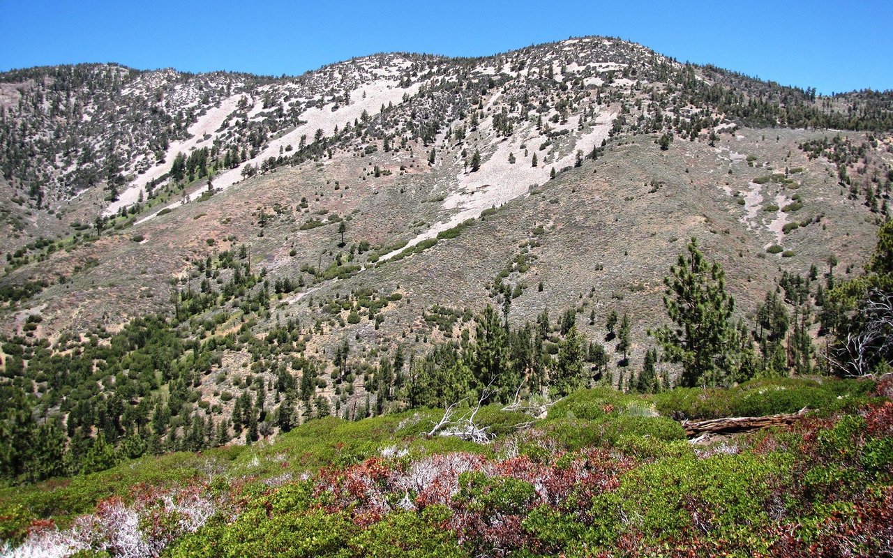 Sugarloaf