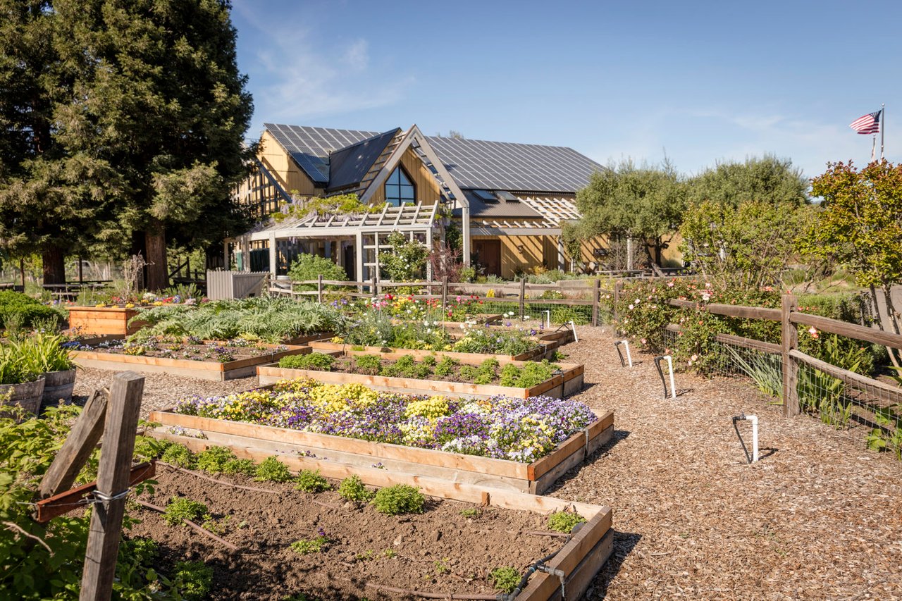 15 Sonoma Wineries With Gorgeous Gardens