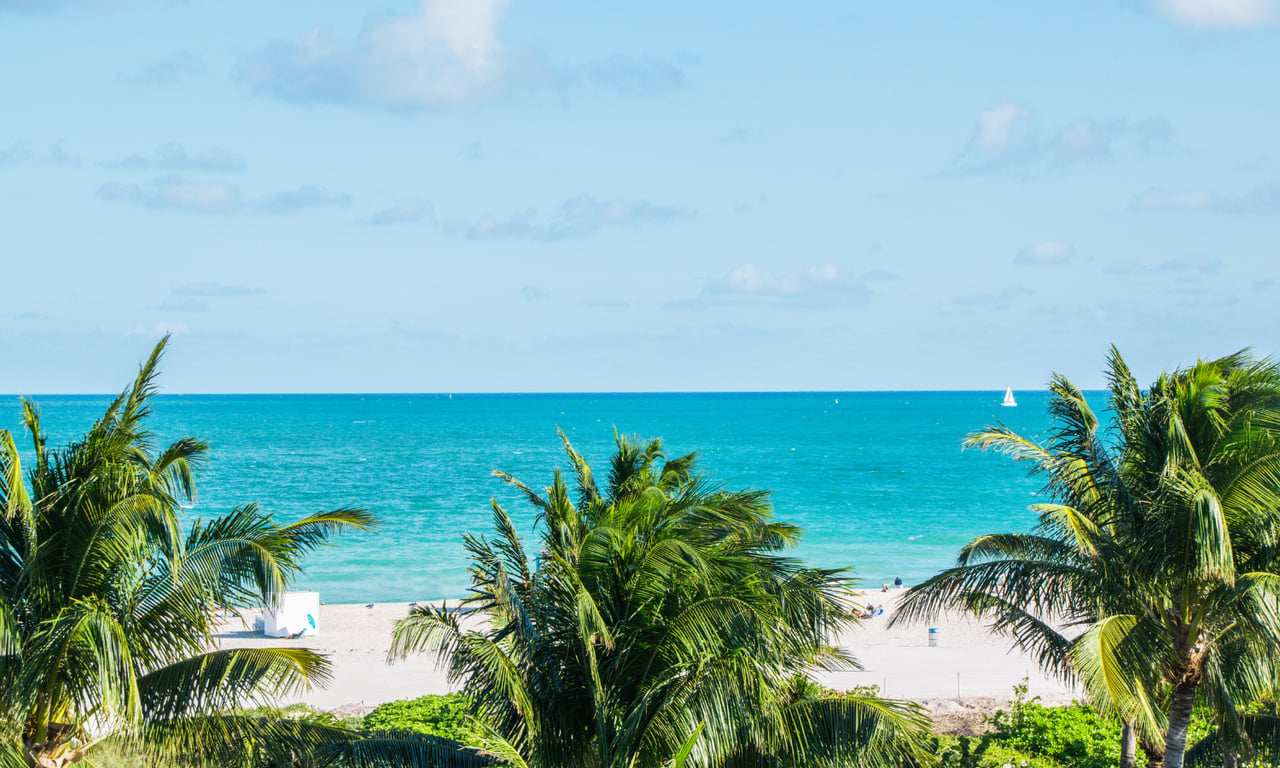 Miami Staycation Guide