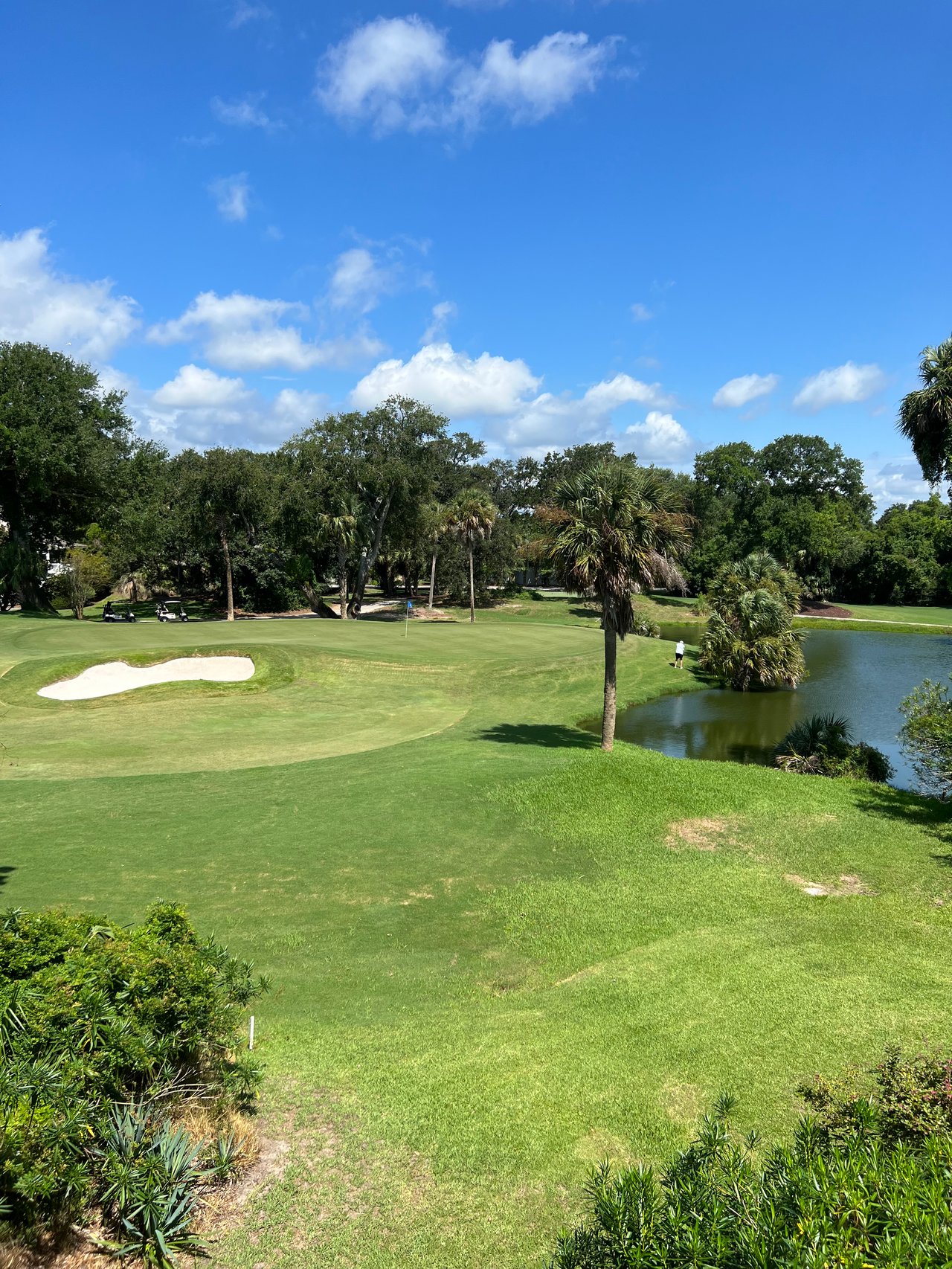 Wild Dunes Golf Course and Lagoon View from top neighborhoods