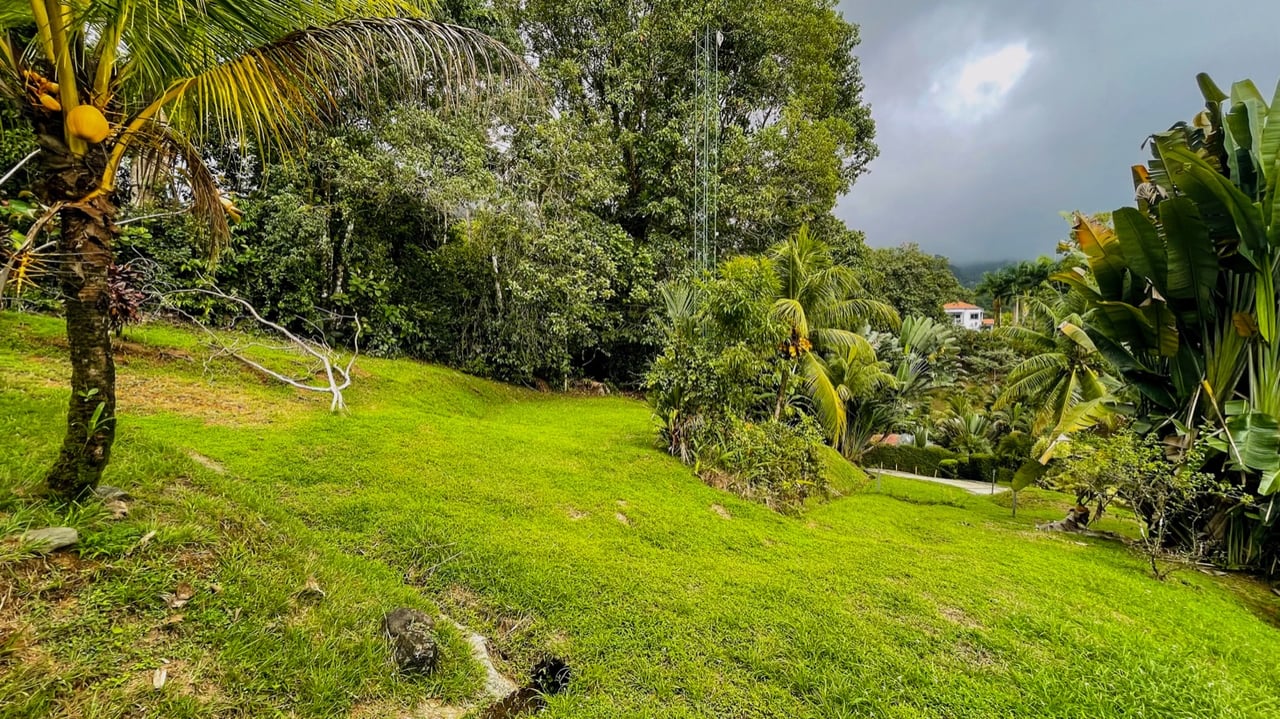 Two Homes on 1.55 Acres with Ocean & Mountain Views – Plus Room to Build!