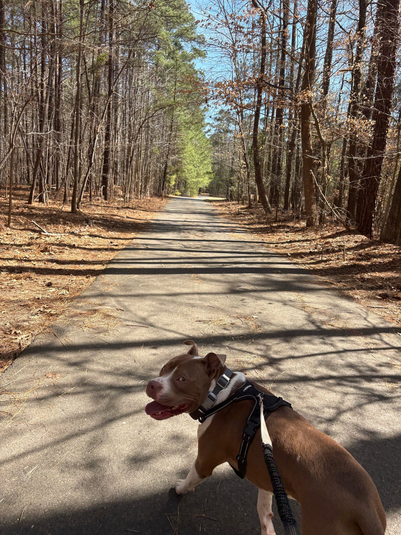 Camry and Kassidy hiking Freedom Park