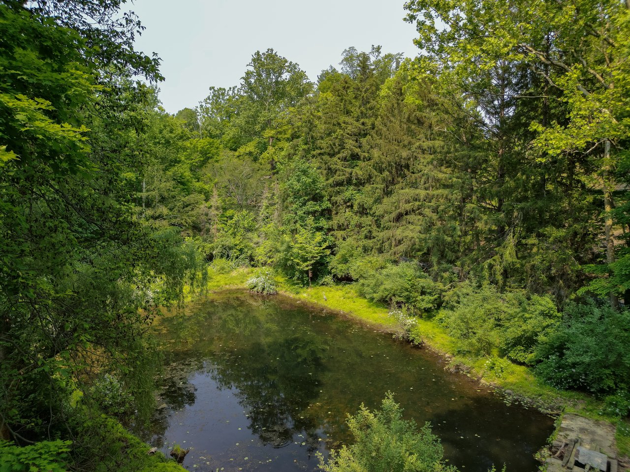 122 Buffalo Hollow Rd