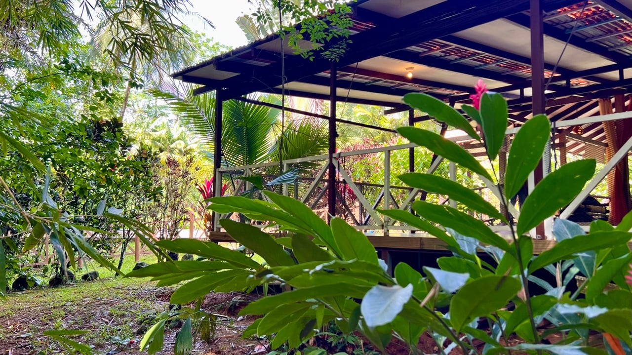 Tropical River Property with Cabinas, Pool & Event Space in Ojochal