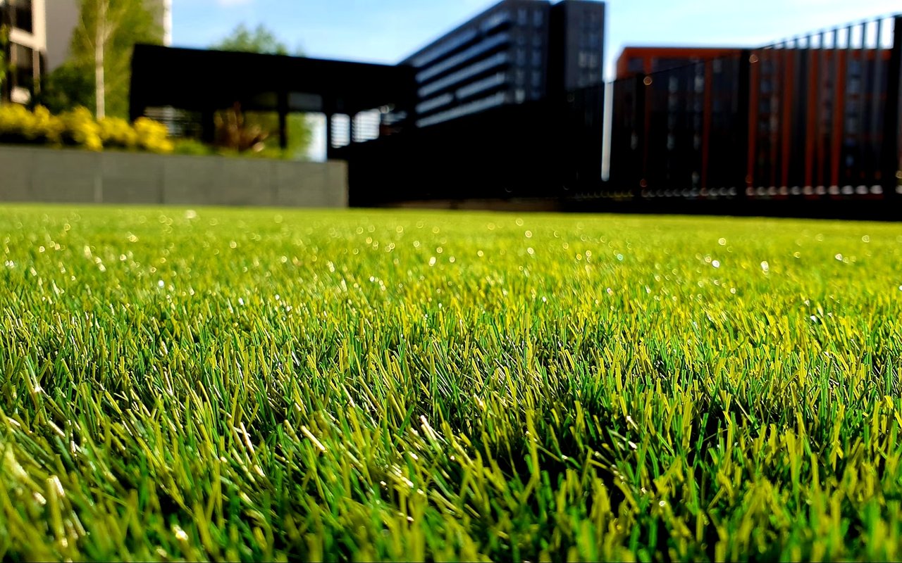 Top Landscaping Tips to Improve Curb Appeal
