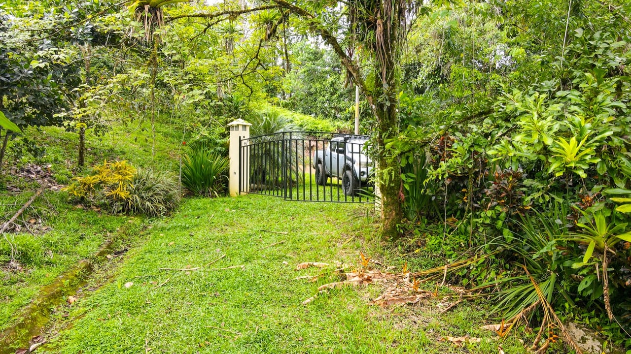 Scenic 2.53 Acres in Fila Cacao Ridge – Build-Ready Lot with Legal Water in Platanillo!