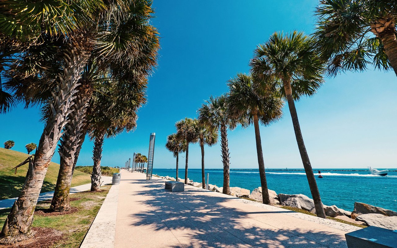 Palm-lined waterfront promenade beside blue ocean and a rocky shoreline.