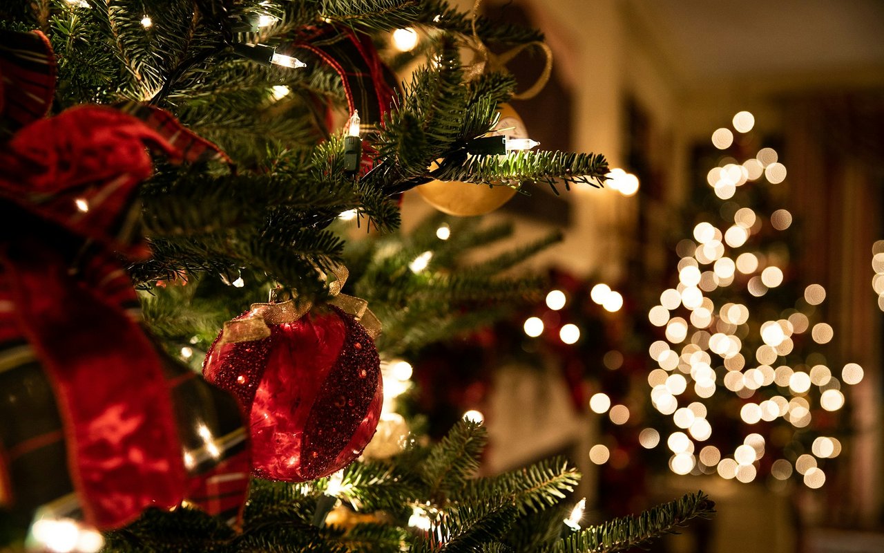 Christmas tree with red ornaments, ribbon, and glowing lights.